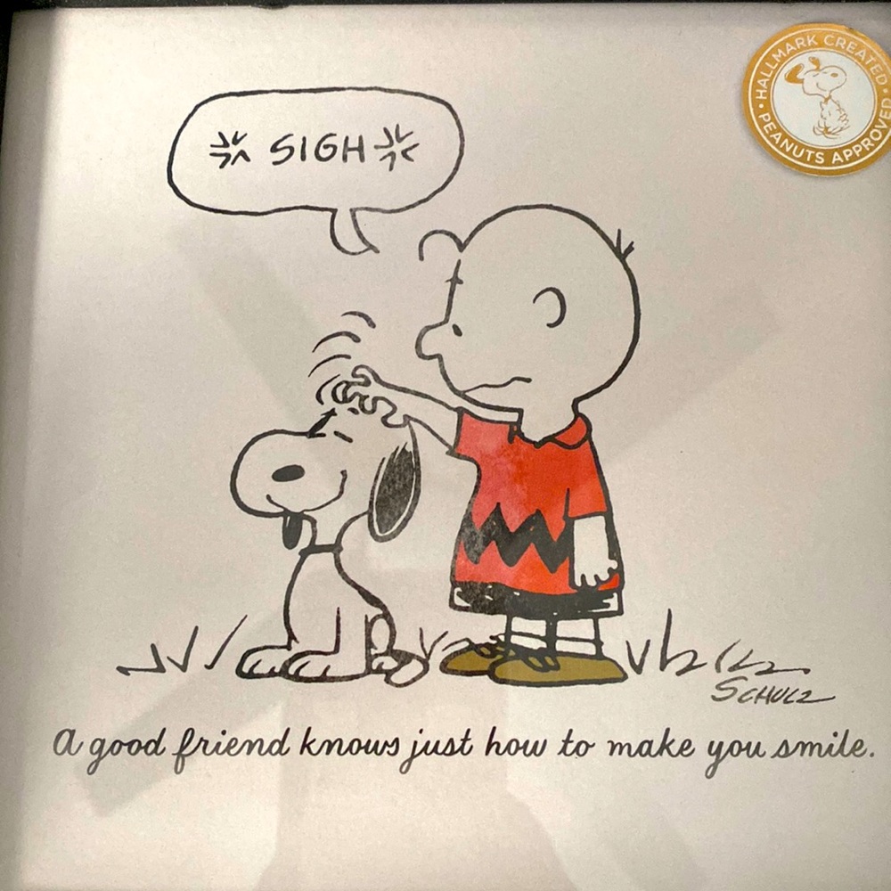Hallmark peanuts Framed Artwork